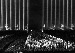 Photos relating to the rallies and the organ
