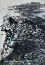 Brucknerfest Linz 2026 Program Schedule