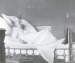 Photos relating to Bruckner's Funeral