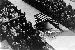 Albert Speer, the Armaments Ministry and Saint Florian