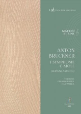 The Roma Tre Orchestra prepares a chamber orchestra version of the Symphony No. 1