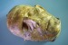 A Bruckner Death Mask selling on Ebay?