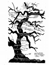 Anton Bruckner's Ancestry