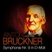 Berky, John: The Bruckner Ninth Finale - An Opinion
